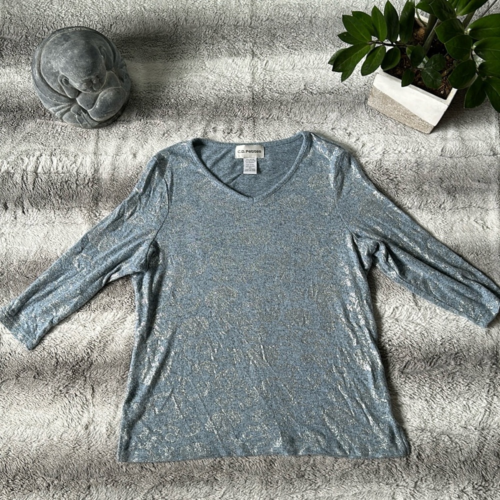 Blue and Silver C. D. Petites Blouse